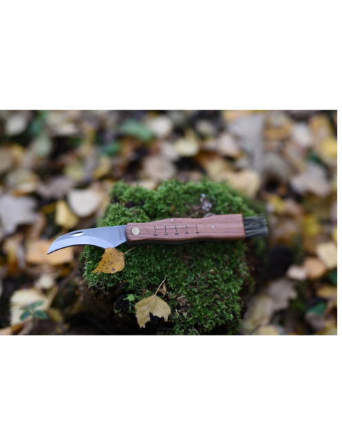 Couteau à champignons MAINKNIVES 7000 | Lame courbe + brosse