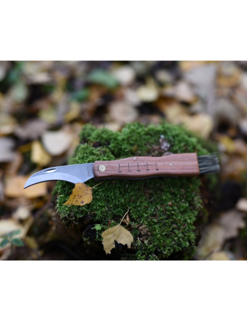Couteau à champignons MAINKNIVES 7000 | Lame courbe + brosse