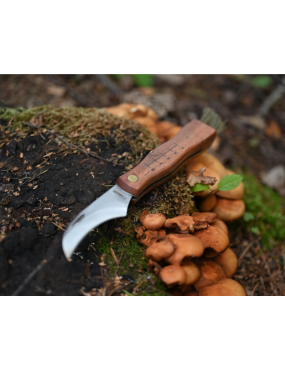 Couteau à champignons MAINKNIVES 7000 | Lame courbe + brosse