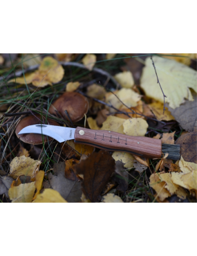 Couteau à champignons MAINKNIVES 7000 | Lame courbe + brosse