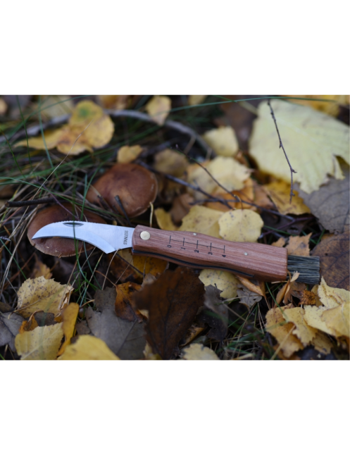 Couteau à champignons MAINKNIVES 7000 | Lame courbe + brosse