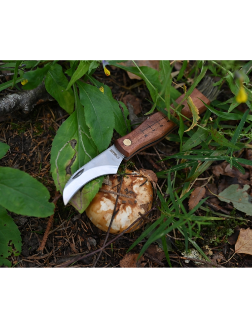 Couteau à champignons MAINKNIVES 7000 | Lame courbe + brosse