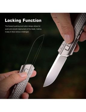 REMETTE - RTSLC - RT-Sharp Leopard