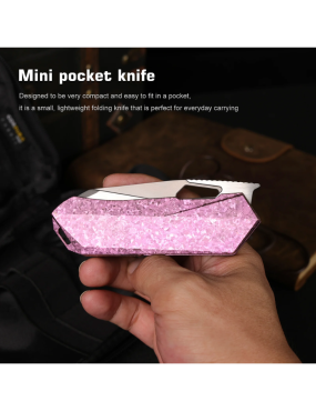 REMETTE RT-Woodpecker Folding Knife M390 | Titanium EDC