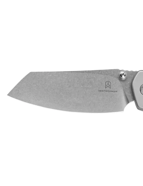 Bestechman Cicada’s Wing BMK06-S-7 – Couteau pliant 10Cr15MoV inox