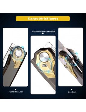 REMETTE - RTT1-BX - RT-PEREGRINE avec verrouillage de sécurité